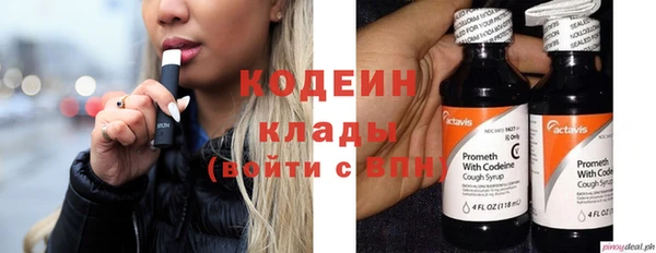 дмт Елабуга