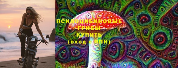 дмт Елабуга