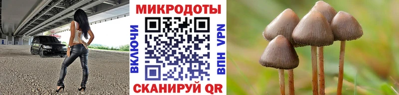 Псилоцибиновые грибы мухоморы  Салехард 
